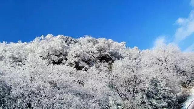 攀登高峰